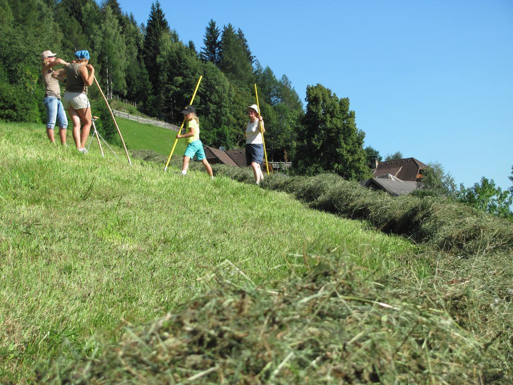 Lercherhof Feld am See Exterior foto