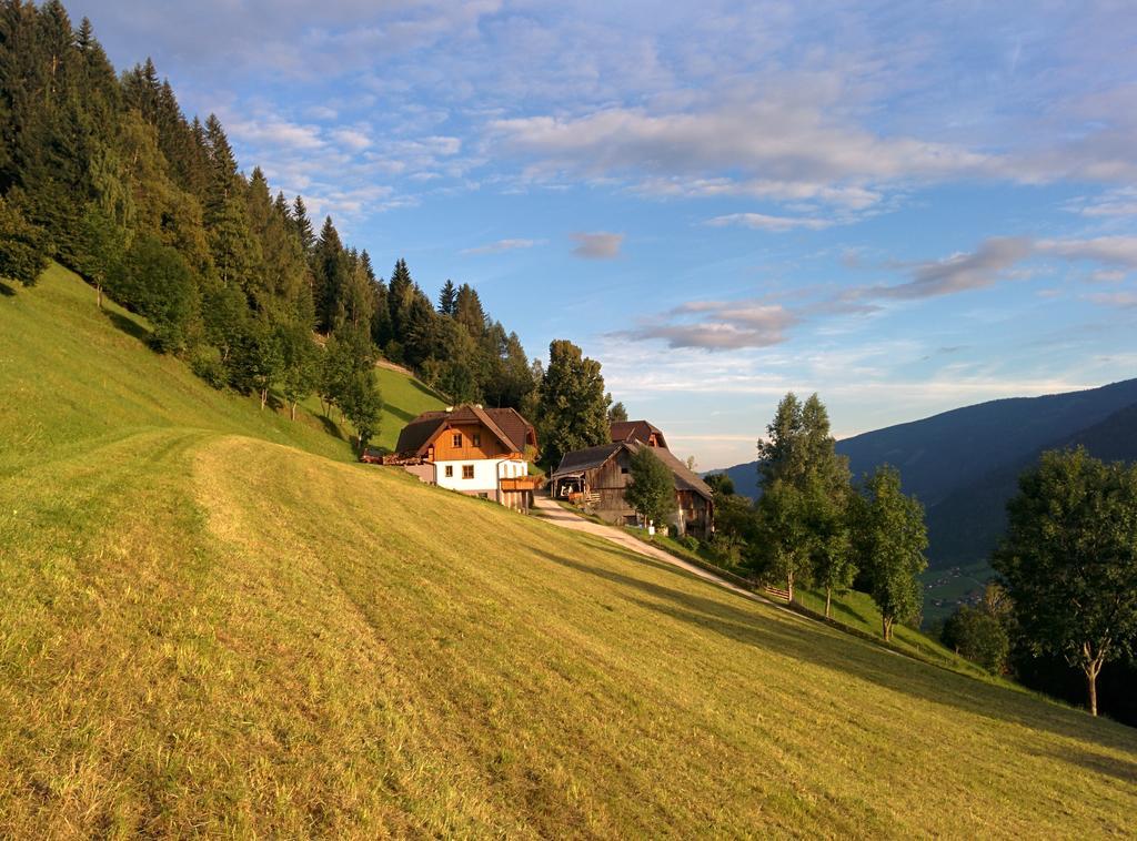 Lercherhof Feld am See Cameră foto